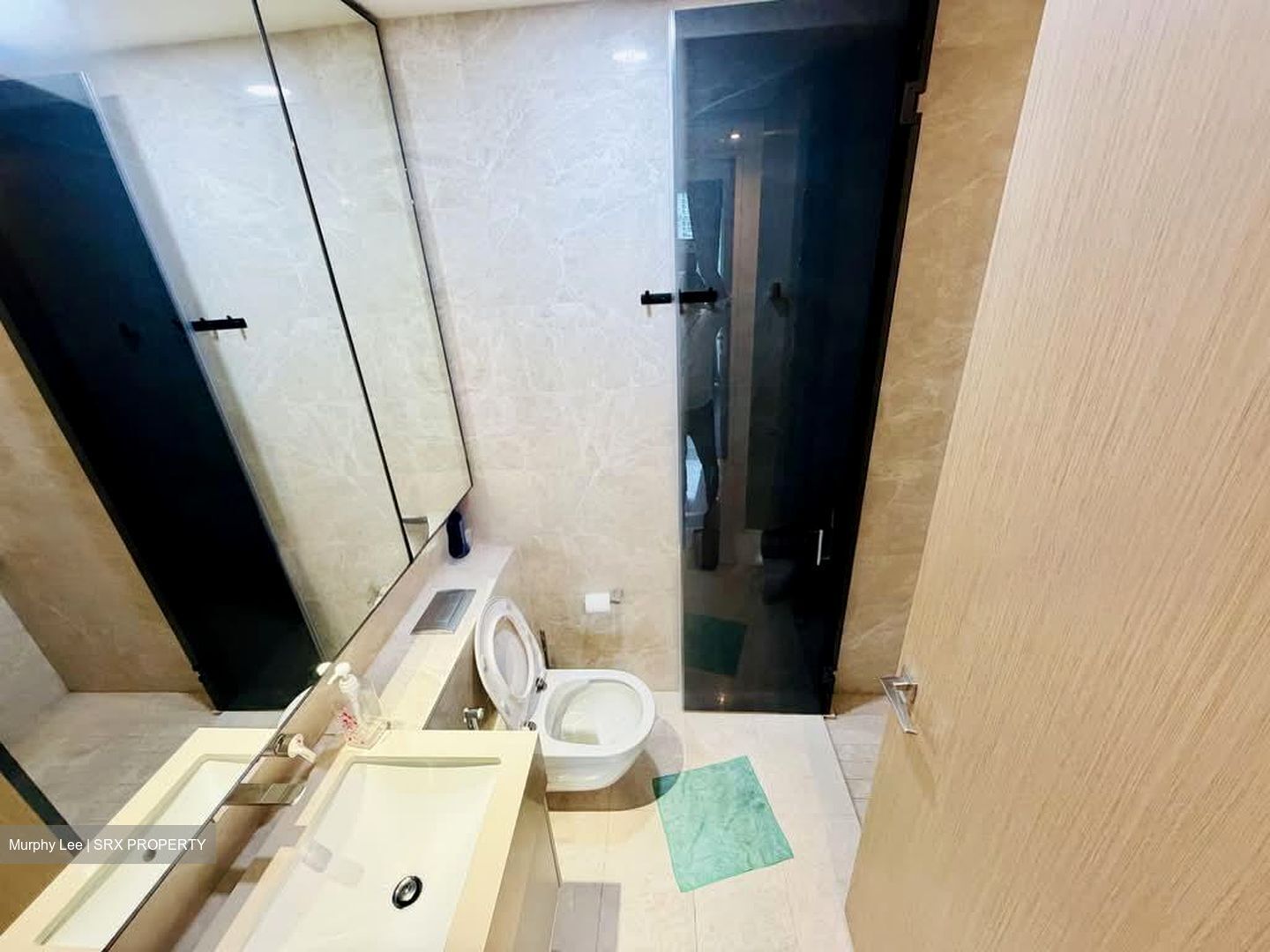 Amber Park (D15), Condominium #592527491